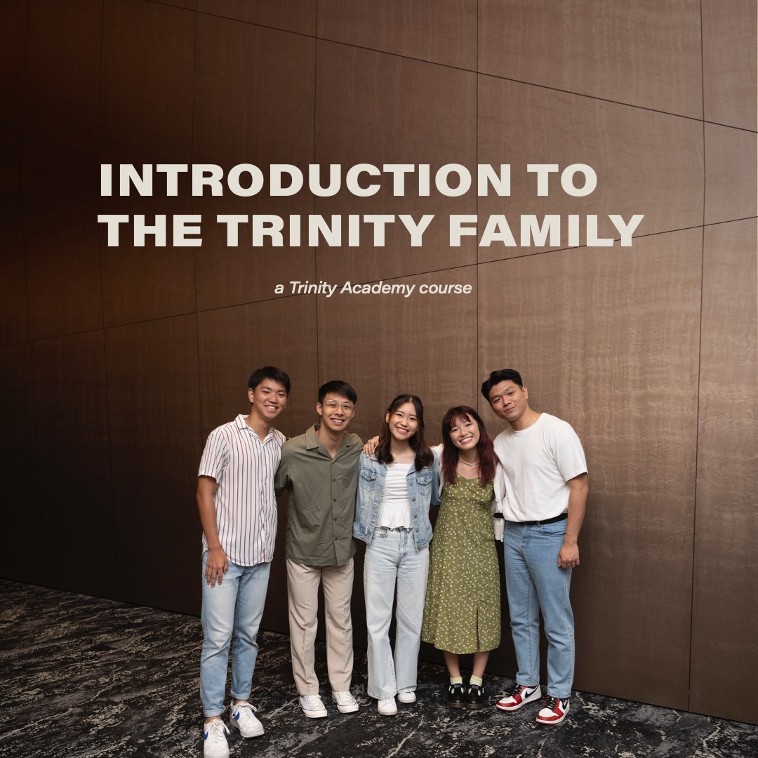 Introduction to the Trinity Family