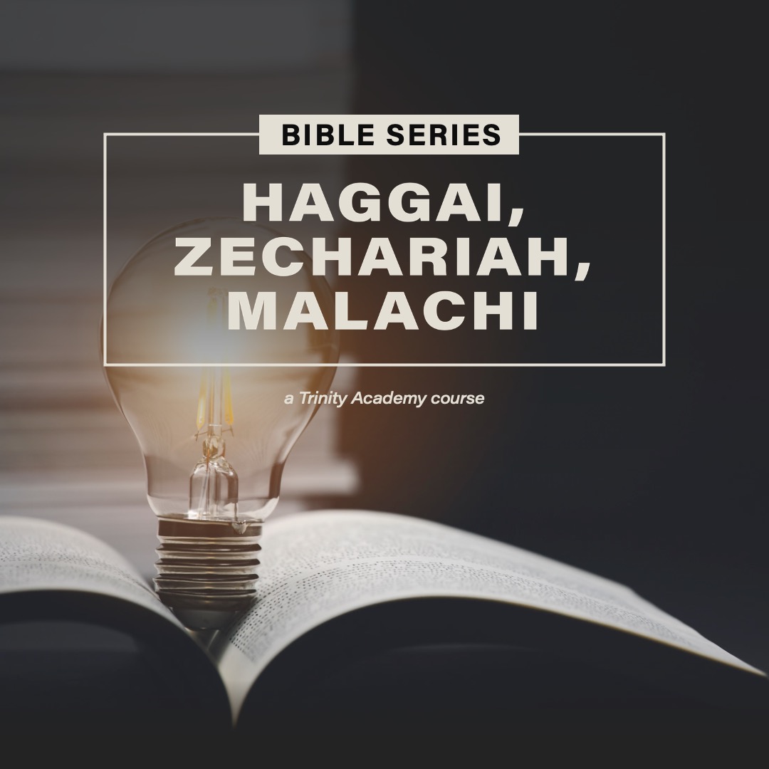 Bible Series: Haggai, Zechariah, Malachi